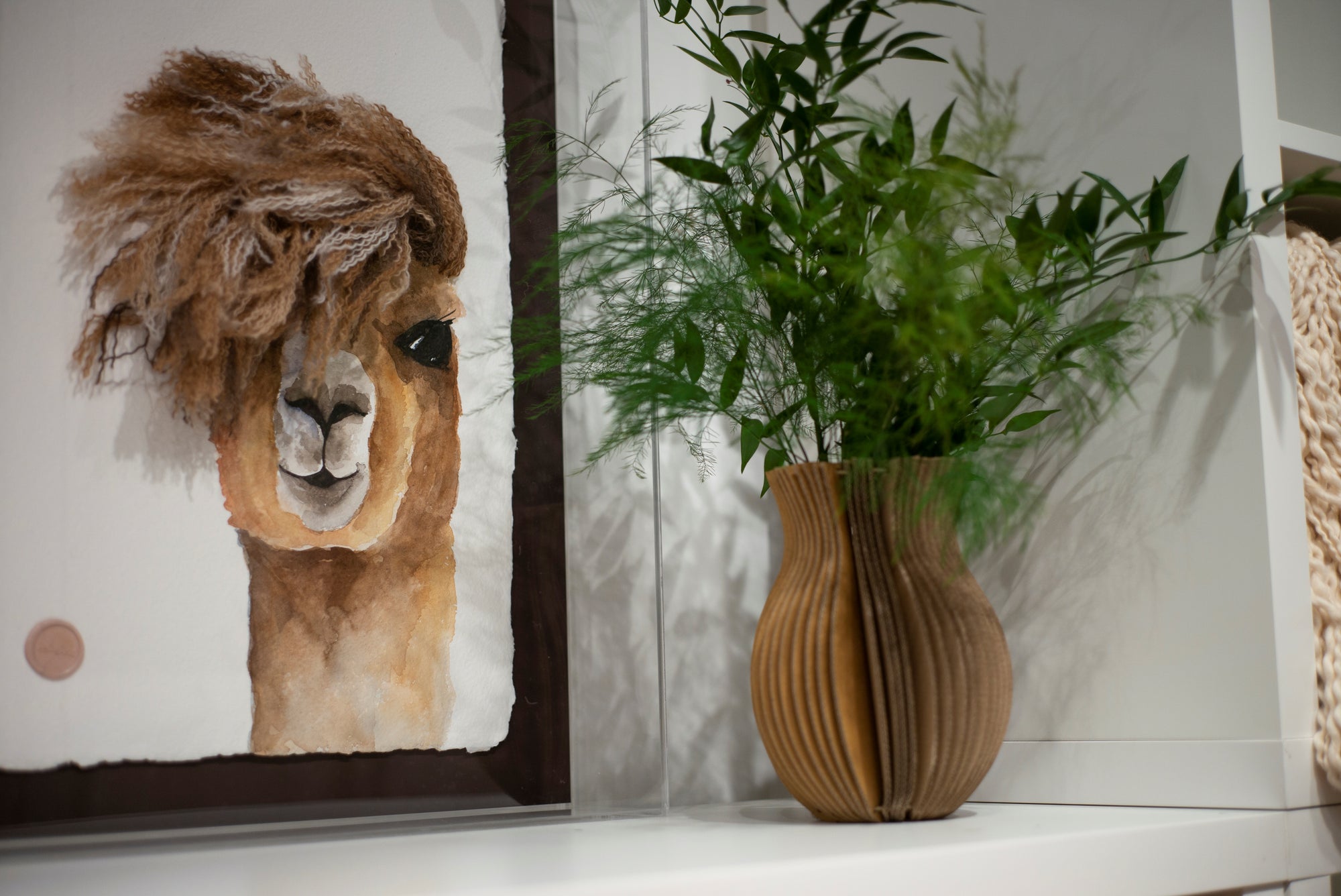 Funky Camelids